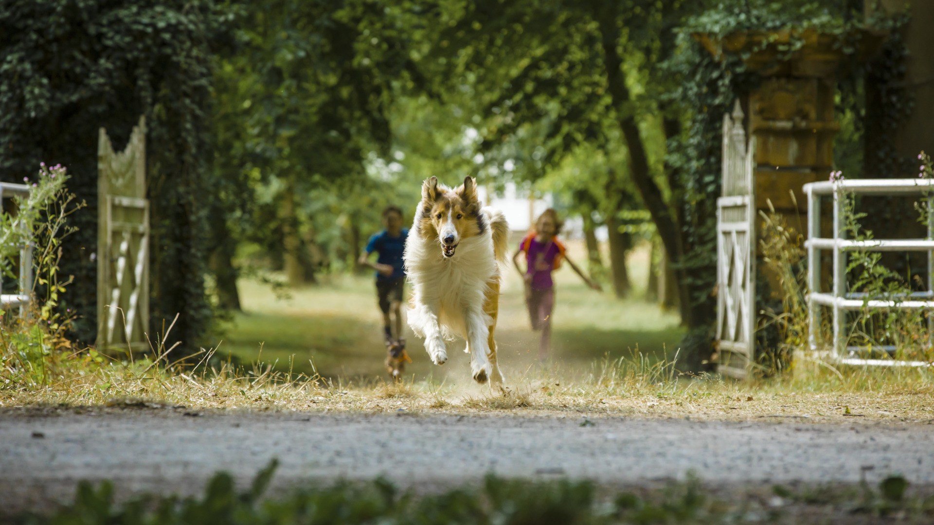 Filmstill aus Lassie. Lassie, der Hund, läuft durch ein Einfahrtstor. Zwei Kinder rennen hinterher.
