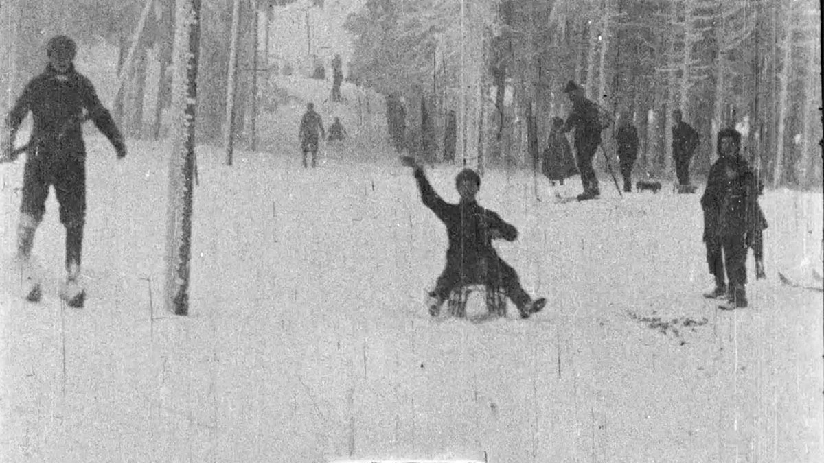 Einige Personen verbringen Zeit im Schnee zusammen, fahren Schlitten, fahren Ski oder spazieren