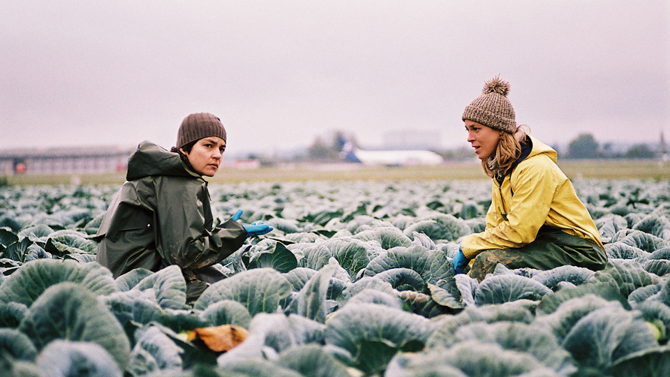 Filmstill aus Fremde Haut: Zwei Personen knien in einem Feld, welches von Kohl bewachsen ist.