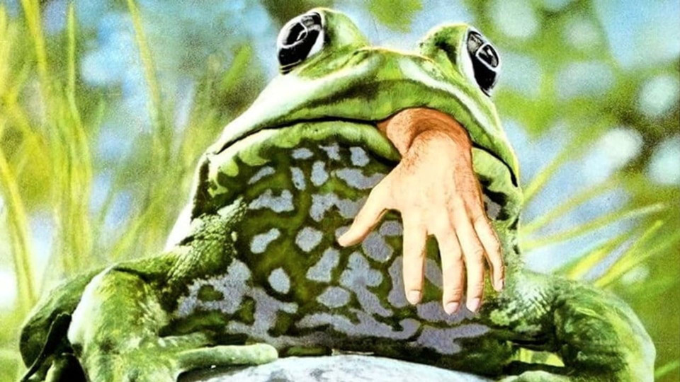 Aus dem Maul eines grünen Frosches hängt eine menschliche Hand, im Hintergrund Grashalme.