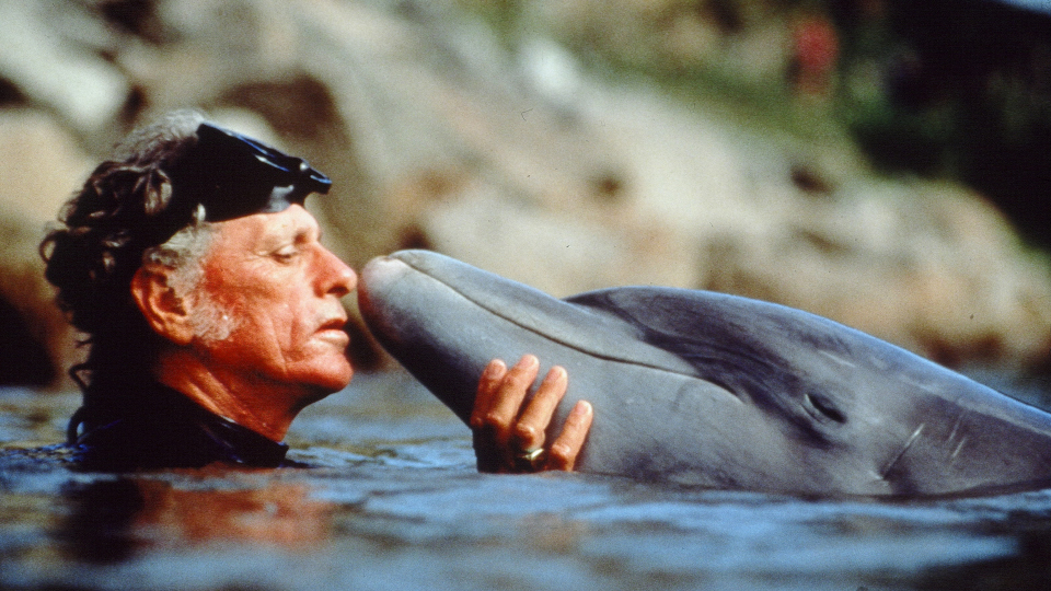 Filmstill aus THE COVE: Ein Mann und ein Delfin im Meer; das Gesicht des Mannes und die Schnauze des Delfins berühren sich