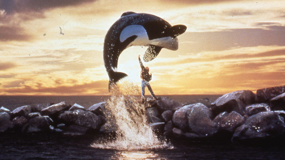 Film still from Free Willy: An orca jumps out of the sea, in the background stands a boy with a raised arm