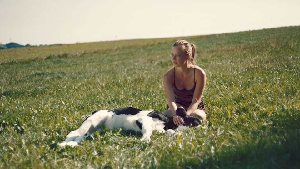 Filmstill aus NIEMAND IST BEI DEN KÄLBERN: Eine junge Frau sitzt auf einer Wiese, vor ihr liegt ein Hund